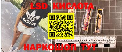 ГАЛЛЮЦИНОГЕННЫЕ ГРИБЫ Ликино-Дулёво